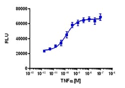 Eurofins Discoverx&nbsp;PathHunter eXpress IL17RD/TNFR2 Dimerization Assay, 2pl Kit. (93-1068E3CP5M)