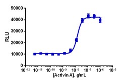 Eurofins Discoverx&nbsp;PathHunter U2OS ACVR1B/BMPR2 Dimerization Cell Line, 2 vials. (93-1072C3)