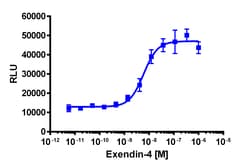 Eurofins Discoverx PathHunter GLP1R Total GPCR Internalization U2OS Cell