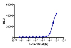 Eurofins Discoverx PathHunter U2OS mRHO(P23H) MEM-EA Pharmacotrafficking