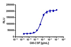 Eurofins Discoverx&nbsp;PathHunter eXpress CSF2RB/CSF2RA Dimerization Assay, 2pl Kit. (93-1078E3CP22M)