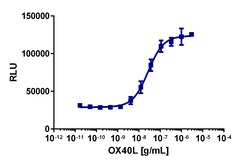 Eurofins Discoverx&nbsp;PathHunter U2OS OX40 Signaling Assay, 2 vials. (93-1080C3)