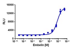 Eurofins Discoverx&nbsp;PathHunter CHO-K1 mGPR84 β-Arrestin Cell Line, 2 vials. (93-1083C2)