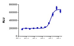 Eurofins Discoverx&nbsp;PathHunter U2OS CD137 Signaling Assay, 2 vials. (93-1089C3)