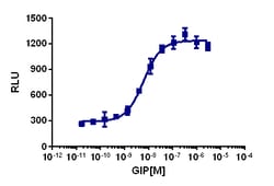 Eurofins Discoverx&nbsp;PathHunter CHO-K1 GIPR β-Arrestin Cell Line, 2 vials. (93-1095C2)