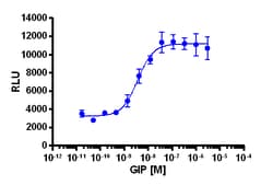 Eurofins Discoverx PathHunter eXpress GIPR CHO-K1 β-Arrestin GPCR Assay,