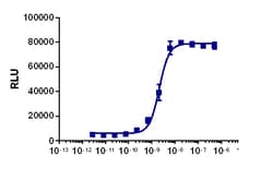 Eurofins Discoverx&nbsp;PathHunter U2OS IFNGR1/IFNGR2 Dimerization Cell Line, 2 vials. (93-1098C3)