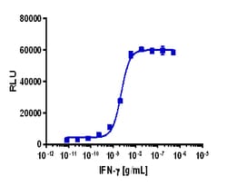 Eurofins Discoverx&nbsp;PathHunter eXpress IFNGR1/IFNGR2 Dimerization Assay, 10pl Kit. (93-1098E3CP5L)