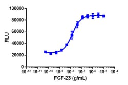 Eurofins Discoverx PathHunter U2OS FGFR4-α-Klotho Functional Assay, 2 vials.
