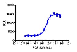 Eurofins Discoverx PathHunter U2OS FGFR1-α-Klotho Functional Assay, 2 vials.