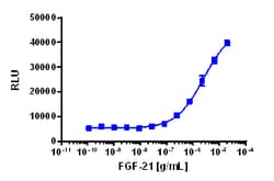 Eurofins Discoverx PathHunter U2OS FGFR1-β-Klotho Functional Assay, 2 vials.
