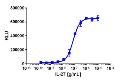 Eurofins Discoverx PathHunter U2OS IL27RA/IL6ST Dimerization Cell Line,