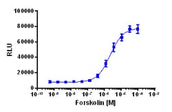 Eurofins Discoverx&nbsp;PathHunter U2OS TORC3 Nuclear Translocation Cell Line, 2 vials. (93-1120C3)