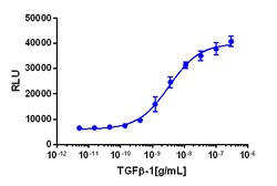 Eurofins Discoverx&nbsp;PathHunter U2OS TGFBR1/TGFBR2/ENG Dimerization Cell Line, 2 vials. (93-1122C3)