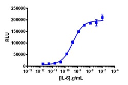 Eurofins Discoverx&nbsp;PathHunter HepG2 STAT3 Pathway Reporter Cell Line, 2 vials. (93-1144C44)