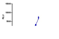 Eurofins Discoverx PathHunter CHO-K1 GPR34 β-Arrestin Cell Line, 2 vials.