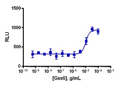 Eurofins Discoverx PathHunter U2OS MERTK Functional Cell Line, 2 vials.