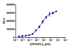 Eurofins Discoverx PathHunter U2OS RANK-NF-KB Reporter Cell Line, 2 vials.