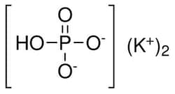 Strem, An Ascensus Company&nbsp;CAS# 7758-11-4. 250g. Potassium hydrogen phosphate, 98+% (ACS). MFCD00011383