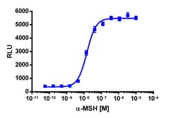 Eurofins Discoverx&nbsp;cAMP Hunter eXpress MC3R CHO-K1 GPCR Assay, 10-Plate Kit. (95-0045E2CP2L)