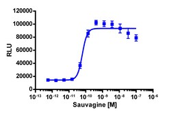 Eurofins Discoverx&nbsp;cAMP Hunter eXpress CRHR1 CHO-K1 GPCR Assay, 10-Plate Kit. (95-0047E2CP2L)