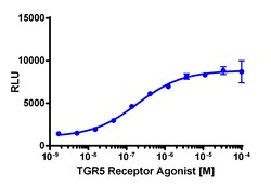 Eurofins Discoverx&nbsp;cAMP Hunter eXpress GPBAR1 CHO-K1 GPCR Assay, 2-Plate Kit. (95-0049E2CP2M)