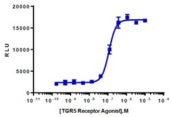 Eurofins Discoverx&nbsp;cAMP Hunter GPBAR1 Bioassay Kit, 2-Plate. (95-0049Y2-00139)