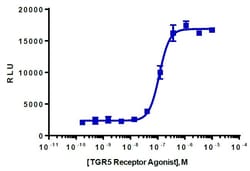 Eurofins Discoverx&nbsp;cAMP Hunter GPBAR1 Bioassay Kit, 10-Plate. (95-0049Y2-00140)
