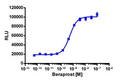 Eurofins Discoverx&nbsp;cAMP Hunter eXpress PTGIR CHO-K1 GPCR Assay, 2-Plate Kit. (95-0051E2CP2M)