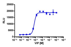 Eurofins Discoverx&nbsp;cAMP Hunter eXpress VIPR2 CHO-K1 GPCR Assay, 10-Plate Kit. (95-0052E2CP2L)