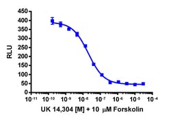 Eurofins Discoverx&nbsp;cAMP Hunter CHO-K1 ADRA2C Gi Cell Line, 2 vials. (95-0053C2)
