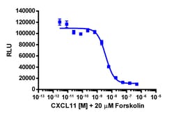 Eurofins Discoverx cAMP Hunter eXpress CXCR3 CHO-K1 GPCR Assay, 2-Plate