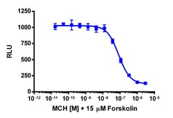 Eurofins Discoverx&nbsp;cAMP Hunter CHO-K1 MCHR1 Gi Cell Line, 2 vials. (95-0055C2)