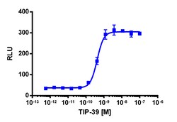 Eurofins Discoverx cAMP Hunter CHO-K1 PTHR2 Gs Cell Line, 2 vials. (95-0057C2)