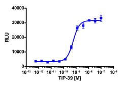 Eurofins Discoverx&nbsp;cAMP Hunter eXpress PTHR2 CHO-K1 GPCR Assay, 2-Plate Kit. (95-0057E2CP2M)
