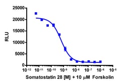 Eurofins Discoverx cAMP Hunter CHO-K1 SSTR4 Gi Cell Line, 2 vials. (95-0059C2),