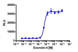 Eurofins Discoverx cAMP Hunter eXpress GLP1R CHO-K1 GPCR Assay, 2-Plate
