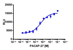 Eurofins Discoverx&nbsp;cAMP Hunter eXpress ADCYAP1R1 (PAC1) CHO-K1 GPCR Assay, 2pl Kit. (95-0064E2CP2M)
