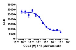 Eurofins Discoverx&nbsp;cAMP Hunter eXpress CCR5 CHO-K1 GPCR Assay, 2-Plate Kit. (95-0068E2CP2M)