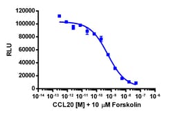 Eurofins Discoverx cAMP Hunter eXpress CCR6 CHO-K1 GPCR Assay, 2-Plate