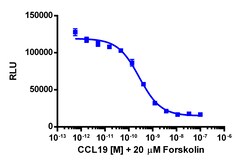 Eurofins Discoverx cAMP Hunter eXpress CCR7 CHO-K1 GPCR Assay, 10-Plate