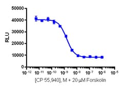 Eurofins Discoverx&nbsp;cAMP Hunter CHO-K1 CNR1 Gi Cell Line, 2 vials. (95-0071C2)