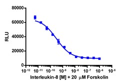 Eurofins Discoverx&nbsp;cAMP Hunter eXpress CXCR1 (IL8RA) CHO-K1 GPCR Assay, 10-Plate Kit. (95-0073E2CP2L)