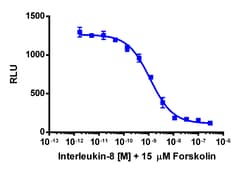 Eurofins Discoverx cAMP Hunter CHO-K1 CXCR2 (IL8RB) Gi Cell Line, 2 vials.