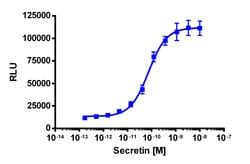 Eurofins Discoverx&nbsp;cAMP Hunter eXpress SCTR CHO-K1 GPCR Assay, 2-Plate Kit. (95-0075E2CP2M)
