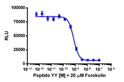 Eurofins Discoverx&nbsp;cAMP Hunter eXpress NPY2R CHO-K1 GPCR Assay, 2-Plate Kit. (95-0077E2CP2M)