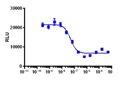 Eurofins Discoverx&nbsp;cAMP Hunter eXpress CHRM2 CHO-K1 GPCR Assay, 2-Plate Kit. (95-0078E2CP2M)
