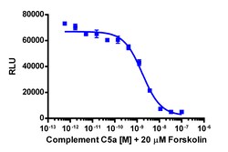 Eurofins Discoverx cAMP Hunter eXpress C5AR1 CHO-K1 GPCR Assay, 2-Plate