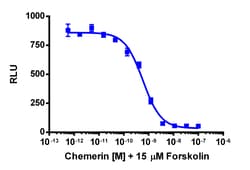 Eurofins Discoverx cAMP Hunter CHO-K1 CMKLR1 Gi Cell Line, 2 vials. (95-0080C2)