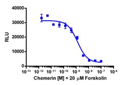 Eurofins Discoverx&nbsp;cAMP Hunter eXpress CMKLR1 CHO-K1 GPCR Assay, 2-Plate Kit. (95-0080E2CP2M)